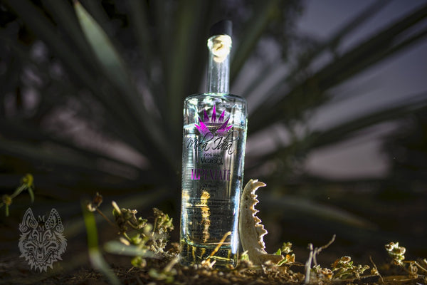 Upgrade Your Home Bar with Tequila Stop’s Favourites