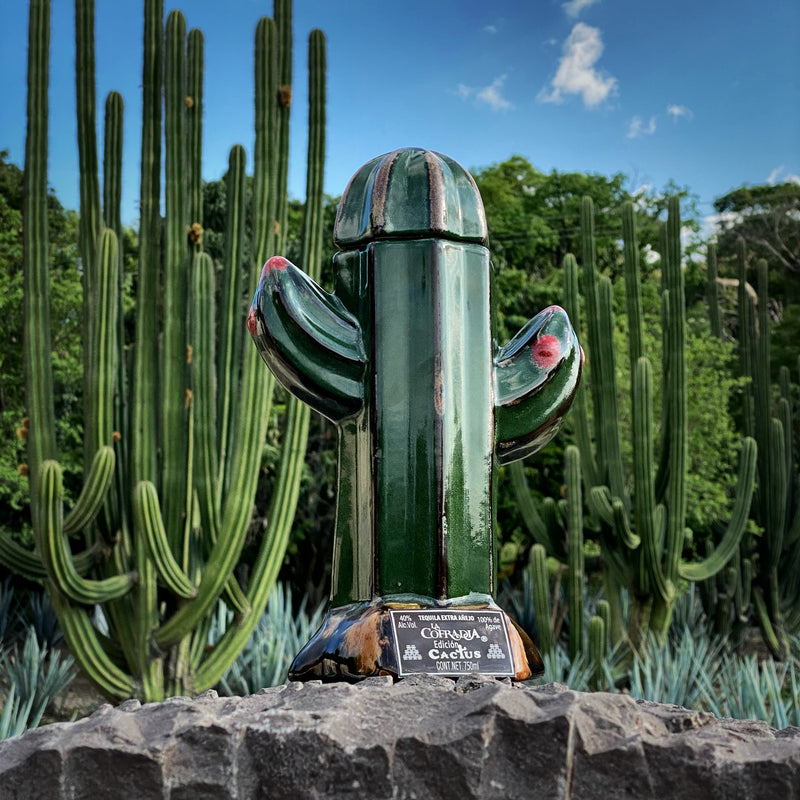 La Cofradia Cactus Reposado Tequila 750 ML Ceramic Bottle, 40% ABV